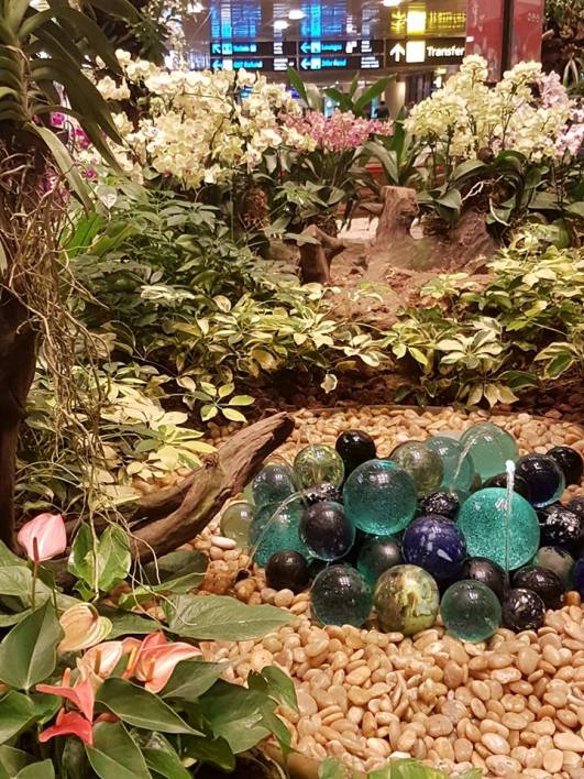 19884091_10213520035780215_8109366997553060647_n